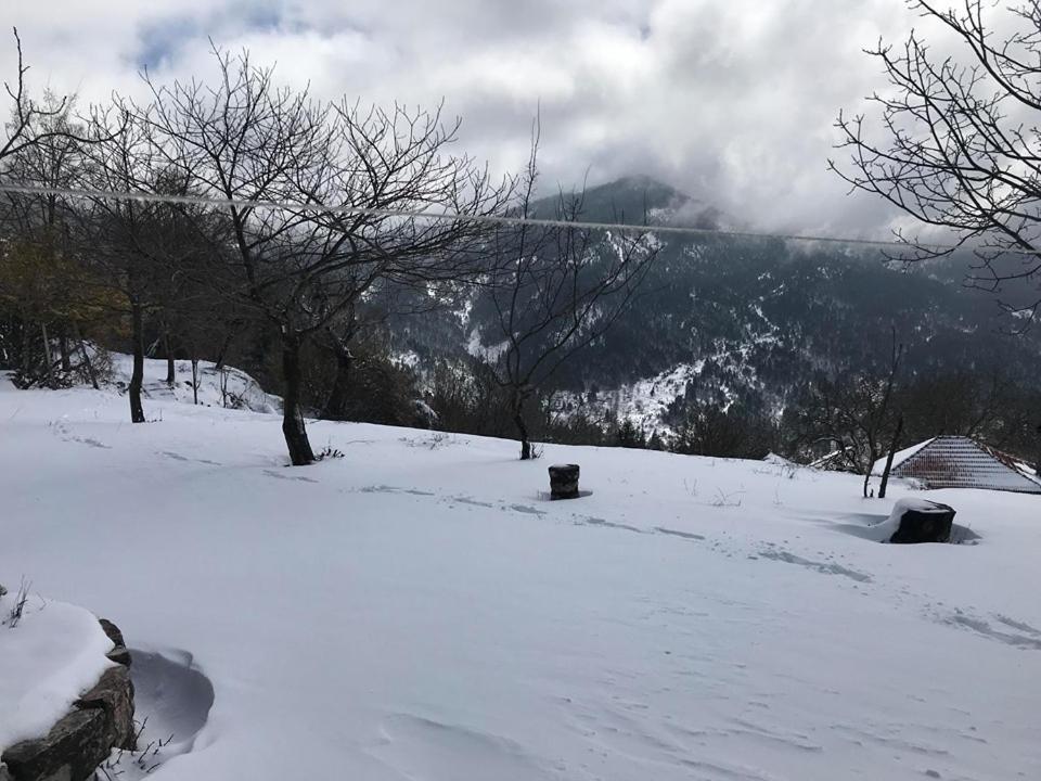 Mikro Katafygio Stavli Extérieur photo